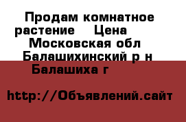 Продам комнатное растение  › Цена ­ 800 - Московская обл., Балашихинский р-н, Балашиха г.  »    